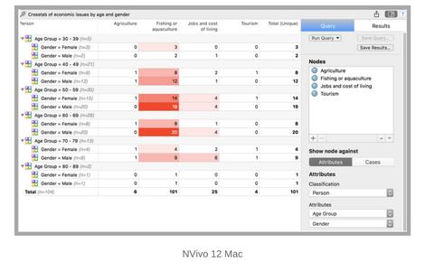 NVivo