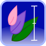 Biometrics - Statistics for Life Science Biometrics - Statistics for Life Science